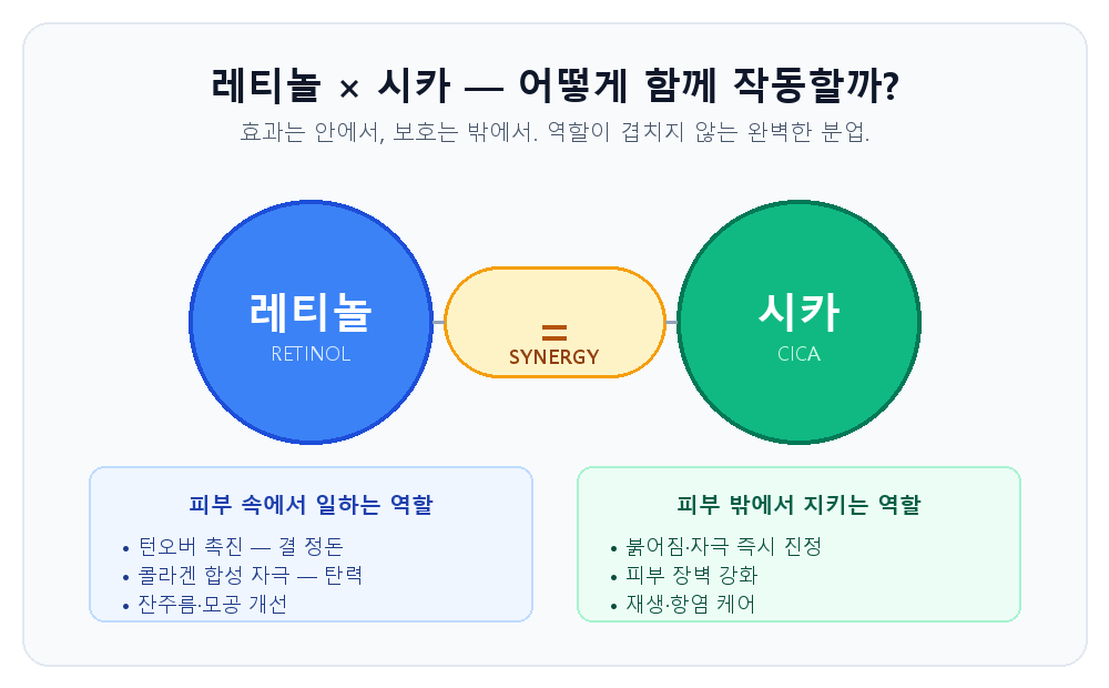 레티놀은 피부 속에서 턴오버와 콜라겐을 자극하고, 시카는 피부 밖에서 진정과 장벽 강화를 담당하는 시너지 구조