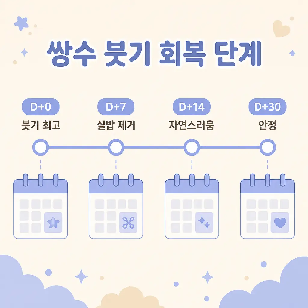 쌍수 붓기 회복 단계